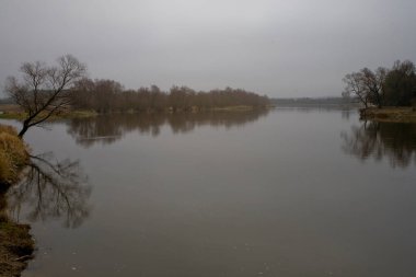 Güzel Polonya sonbaharı soğuk gri bulutlu Kasım ayı Podlasie 'nin Böcek nehri manzarası