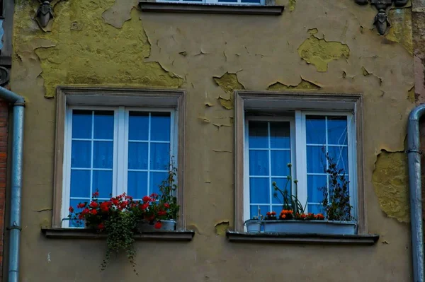 Schöne Interessante Fenster Alten Historischen Mietshäusern Der Polnischen Stadt Danzig — Stockfoto