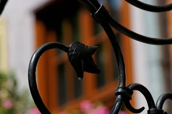 Belos Detalhes Arquitetônicos Históricos Originais Interessantes Cidade Polonesa Gdansk Formando — Fotografia de Stock