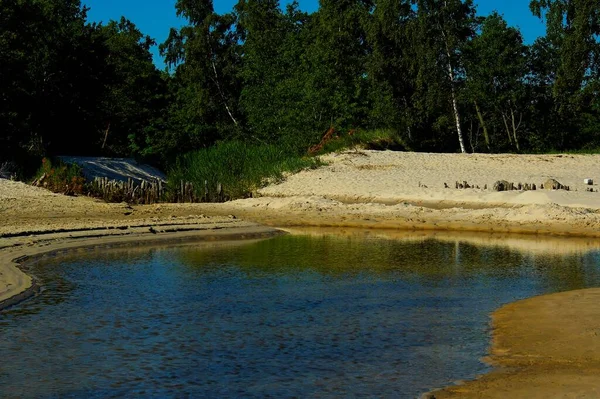 Bela Paisagem Verão Com Rio Que Flui Através Floresta Com — Fotografia de Stock