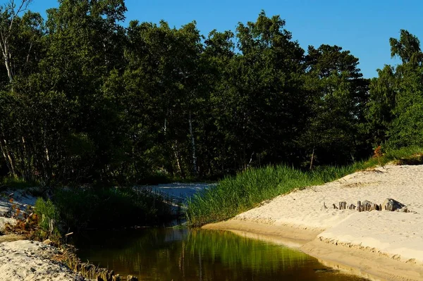Vackert Sommarlandskap Med Flod Som Rinner Genom Skogen Med Sandstrand — Stockfoto