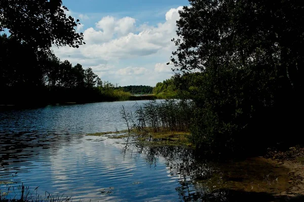 Uma Bela Paisagem Idílica Verão Com Lago Sob Céu Azul — Fotografia de Stock