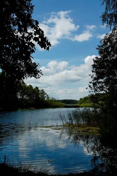 Uma Bela Paisagem Idílica Verão Com Lago Sob Céu Azul — Fotografia de Stock