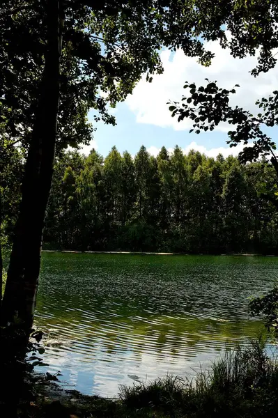 Beau Paysage Idyllique Été Avec Lac Sous Ciel Bleu Par — Photo