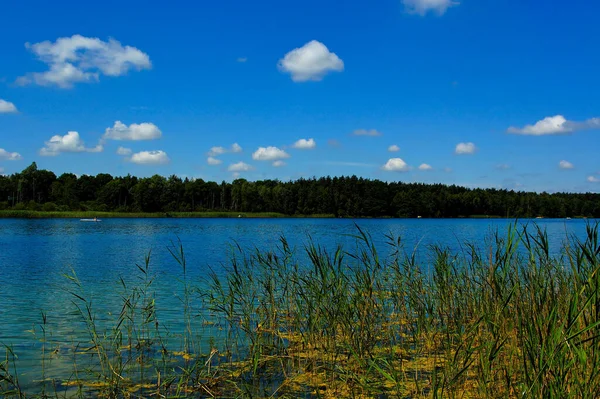 Uma Bela Paisagem Idílica Verão Com Lago Sob Céu Azul — Fotografia de Stock