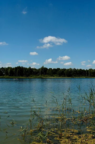 Beau Paysage Idyllique Été Avec Lac Sous Ciel Bleu Par — Photo