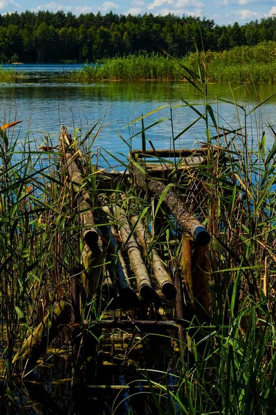Schöner Alter Holzbeschädigter Steg Einem Blauen See Zwischen Grünem Schilf — Stockfoto