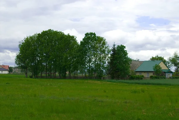 Schöne Natürliche Grüne Frühling Ländliche Ruhige Landschaft Mit Blauem Himmel — Stockfoto