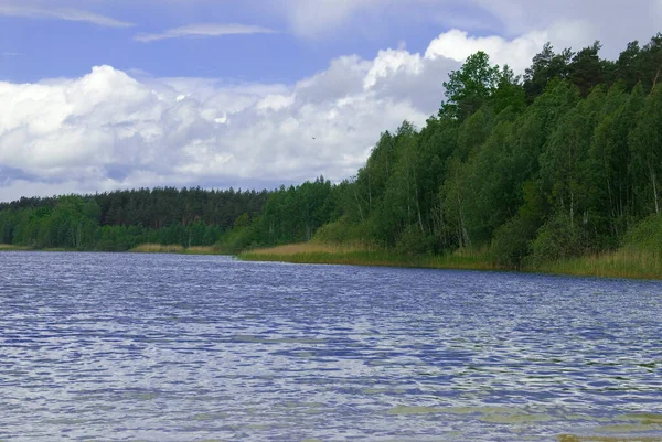 Beau Paysage Été Avec Lac Arbres Ciel Bleu Nuages Par — Photo