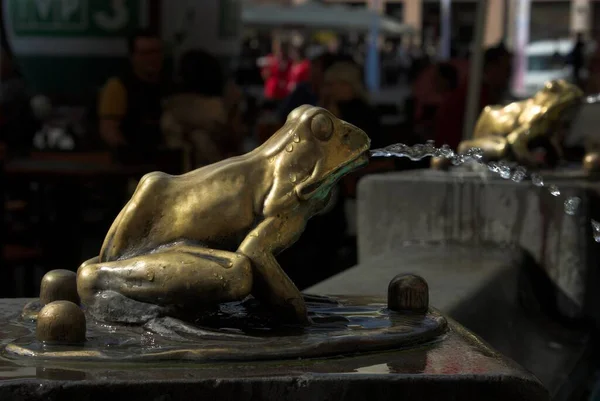 Ein Schöner Kupferfrosch Einem Brunnen Der Polnischen Stadt Torun — Stockfoto