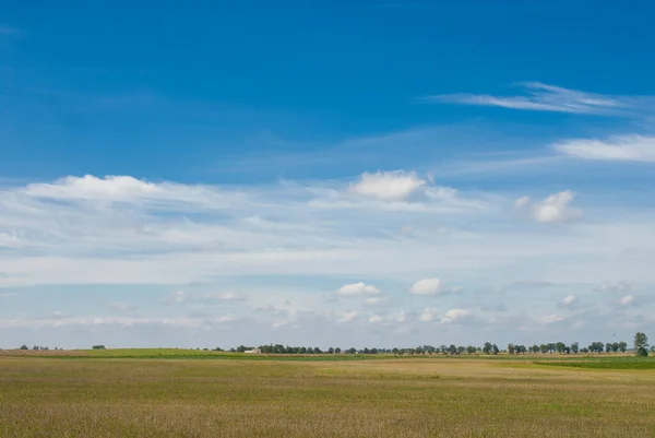 Hermoso Verde Natural Primavera Rural Tranquilo Paisaje Con Cielo Azul — Foto de Stock