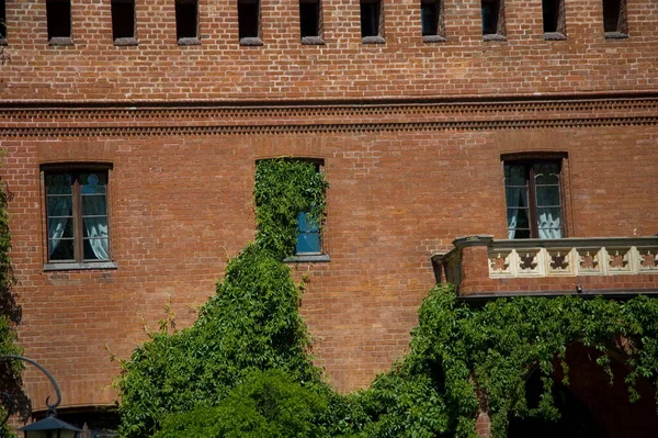 Prachtig Pools Historisch Bakstenen Paleis Rzucewo Omgeven Door Zomergroen — Stockfoto