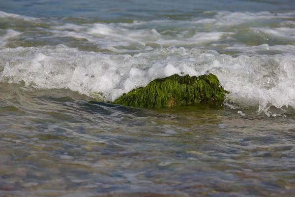 Yeşil Yosunlarla Kaplanmış Bir Kayayla Kaplı Deniz Manzarası Arka Planda — Stok fotoğraf