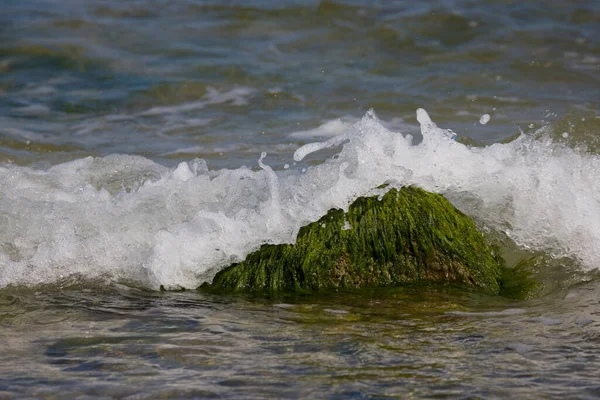 Piękny Nadmorski Krajobraz Głazem Porośniętym Zielonymi Algami Falami Morza Tle — Zdjęcie stockowe