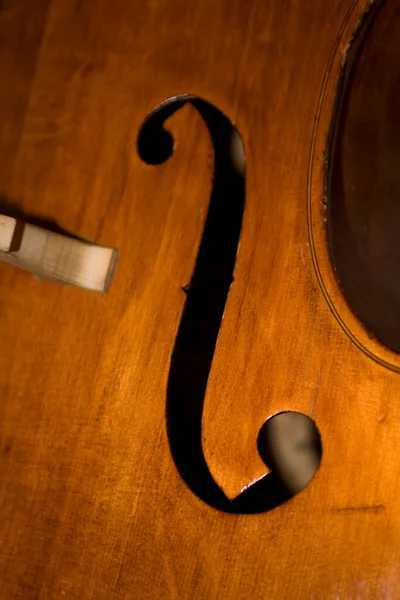 Belo Marrom Duplo Baixo Instrumento Musical Formação Fundo — Fotografia de Stock