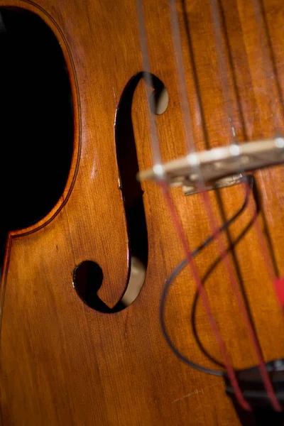 Beautiful Brown Double Bass Musical Instrument Forming Background — Stock Photo, Image