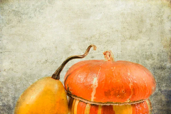 Beautiful Decorative Small Autumn Pumpkins Original Background — Stock Photo, Image