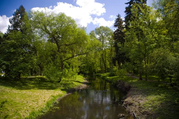 Vackert Lugnt Pittoreskt Vårlandskap Med Gröna Träd Parken Zelazowa Wola — Stockfoto
