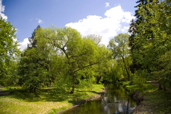 Bela Paisagem Calma Primavera Pitoresca Com Árvores Verdes Parque Zelazowa — Fotografia de Stock