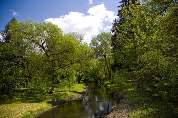 Vackert Lugnt Pittoreskt Vårlandskap Med Gröna Träd Parken Zelazowa Wola — Stockfoto