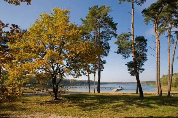 Beau Paysage Automnal Avec Arbres Lac Ciel Bleu Pologne Europe — Photo