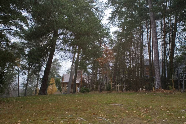 Mooie Schilderachtige Herfstlandschappen Van Poolse Podlasie Een Bewolkte Novemberdag — Stockfoto