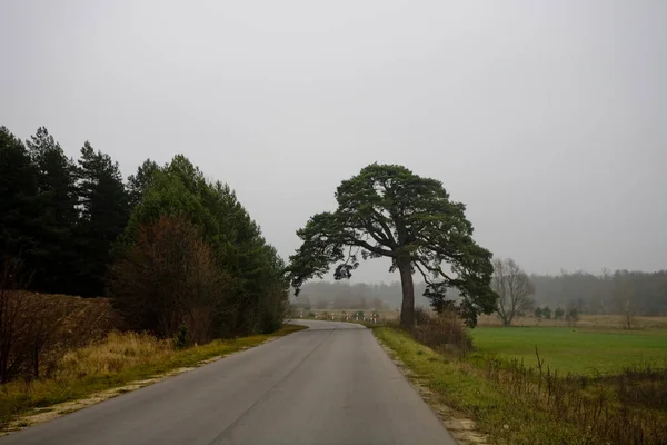 Beaux Paysages Automne Pittoresques Podlasie Polonais Par Une Journée Nuageuse — Photo