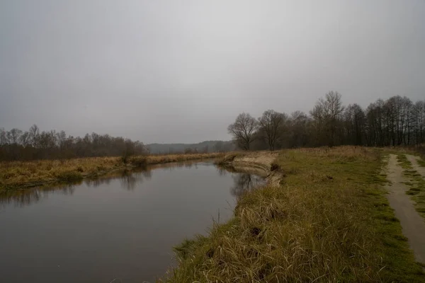 Bellissimo Autunno Polacco Freddo Grigio Nuvoloso Novembre Paesaggio Podlasie Con — Foto Stock