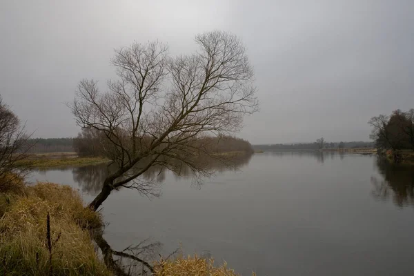 Belo Outono Polonês Frio Cinza Nublado Novembro Paisagem Podlasie Com — Fotografia de Stock