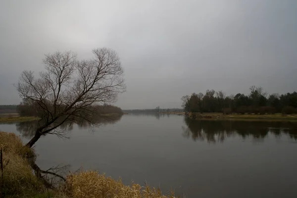 Belo Outono Polonês Frio Cinza Nublado Novembro Paisagem Podlasie Com — Fotografia de Stock