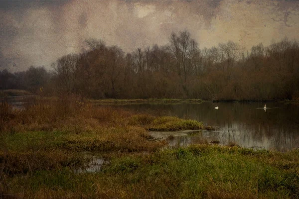 Schöne Polnische Herbst Kalt Grau Bewölkt Novemberlandschaft Von Podlasie Mit — Stockfoto