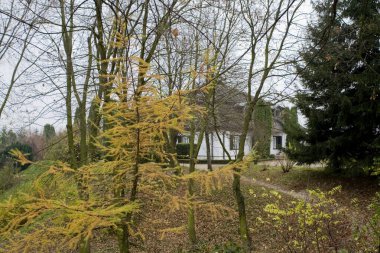 Polonya 'da bir sonbahar gününde güzel, eski, tarihi ahşap bir ev.