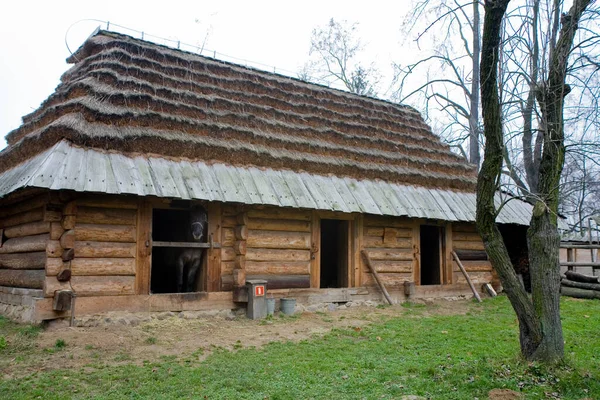 Krásný Starý Venkovský Historický Dřevěný Dům Podzim Polsku — Stock fotografie