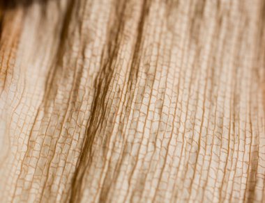 Orijinal desenli kuru bir yaprağın güzel, ilginç doğal arka planı.