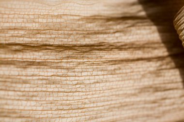 Orijinal desenli kuru bir yaprağın güzel, ilginç doğal arka planı.