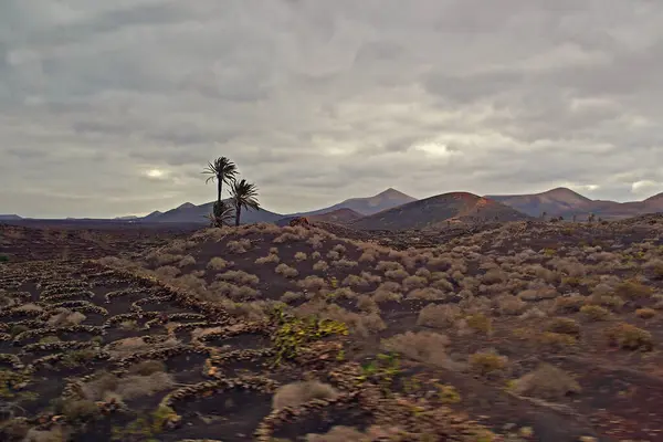 Schöne Ruhige Sommerwolkenlandschaft Von Der Spanischen Kanareninsel Lanzarote — Stockfoto