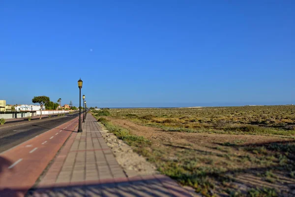 Spanya Kanarya Adası Fuerteventura Palmiye Ağaçları Olan Güzel Geniş Asfalt — Stok fotoğraf