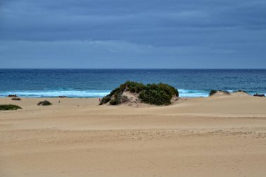 İspanyol Kanarya Adası Fuerteventura 'nın kumulları ve okyanusları olan güzel manzarası.