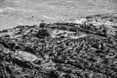 İspanya 'daki Fuerteventura Kanarya Adası' ndaki güzel sahil ve mavi okyanus manzarası.