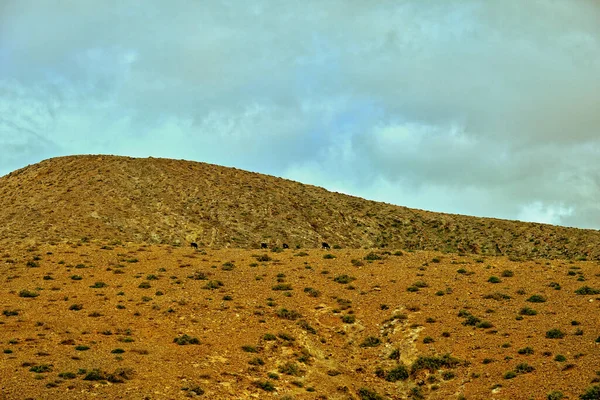 Beautiful Empty Mysterious Mountainous Landscape Center Canary Island Spanish Fuerteventura — Stock Photo, Image