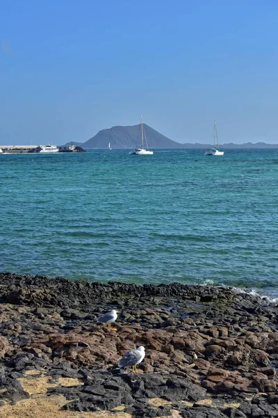 Krásný Výhled Pláž Modrý Oceán Kanárském Ostrově Fuerteventura Španělsku — Stock fotografie