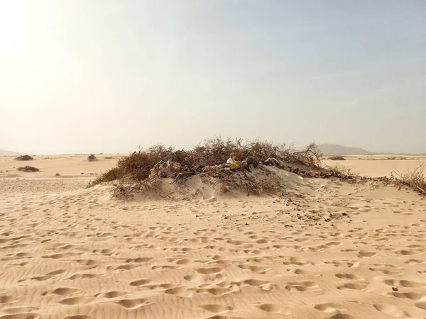 Gyönyörű Táj Spanyol Kanári Szigetről Fuerteventura Dűnékkel Óceán — Stock Fotó
