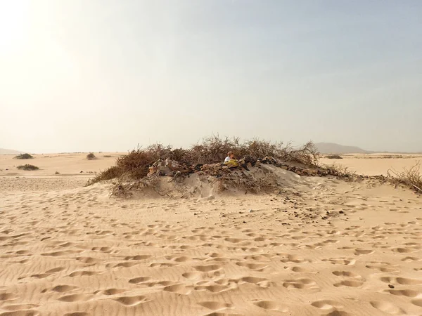 Krásná Krajina Španělského Kanárského Ostrova Fuerteventura Dunami Oceánem — Stock fotografie