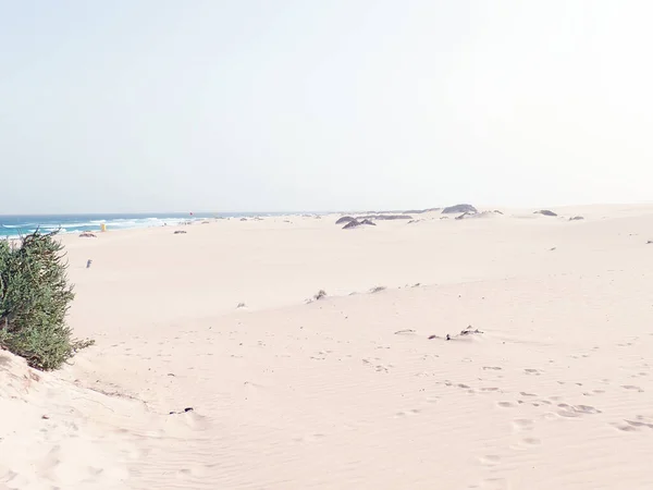 Gyönyörű Táj Spanyol Kanári Szigetről Fuerteventura Dűnékkel Óceán — Stock Fotó