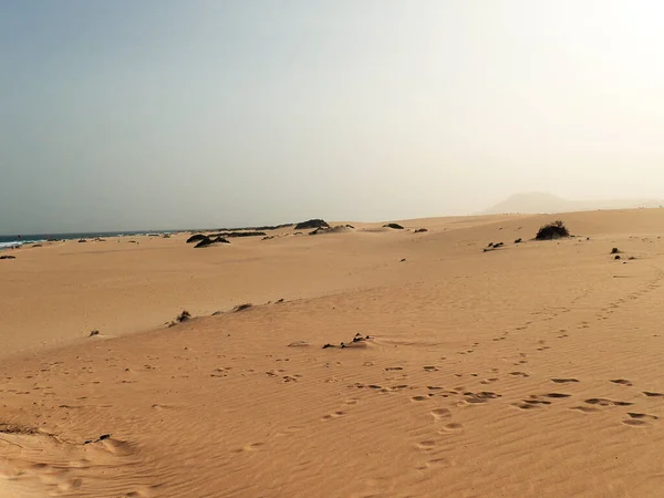 Gyönyörű Táj Spanyol Kanári Szigetről Fuerteventura Dűnékkel Óceán — Stock Fotó