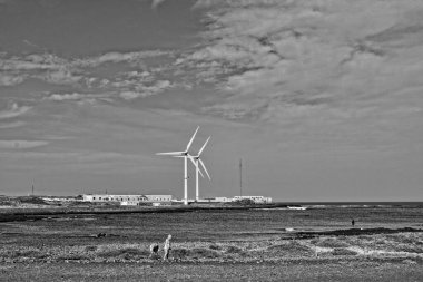 İspanya 'daki Fuerteventura Kanarya Adası' ndaki güzel sahil ve mavi okyanus manzarası.