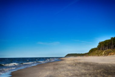 Kumsalda bulutsuz güzel bir gün. Polonya 'da Baltık Denizi manzarası