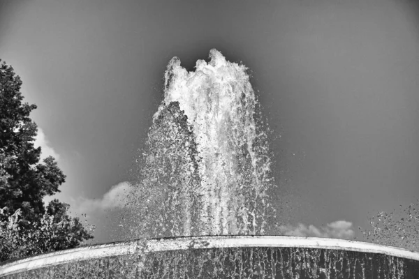 Bella Fontana Storica Varsavia Giardino Una Giornata Estiva Soleggiata — Foto Stock