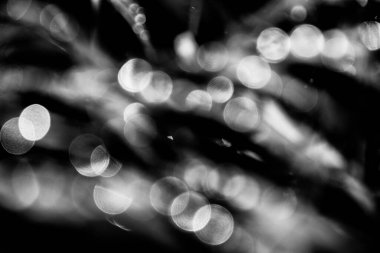 Güzel, soyut, ilginç bir arkaplan bir yaz gününde bir ışık deseni oluşturuyor.,