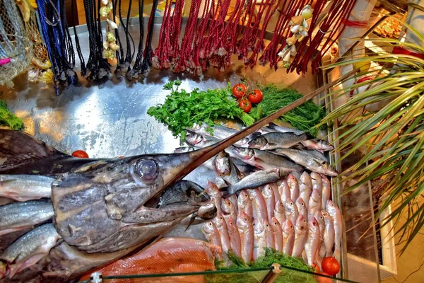 Vacker Välsmakande Saltvattenfisk Som Ligger Utställd Butik Eller Restaurang — Stockfoto